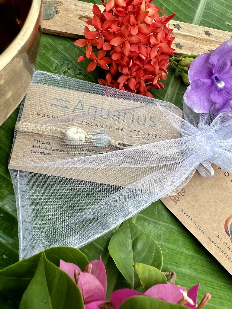 Aquairus 4.webp