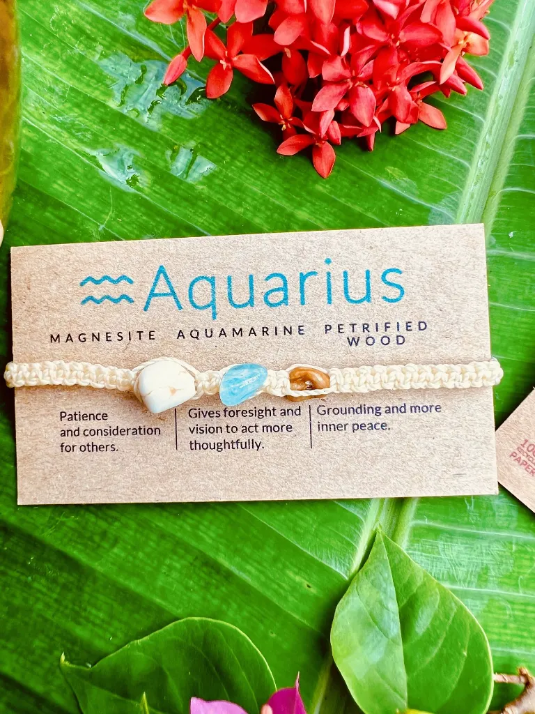 Aquariurs 3.webp