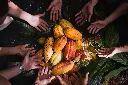 DSCF6001.webp
